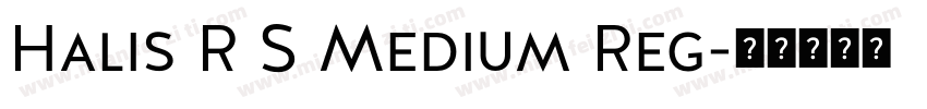 Halis R S Medium Reg字体转换